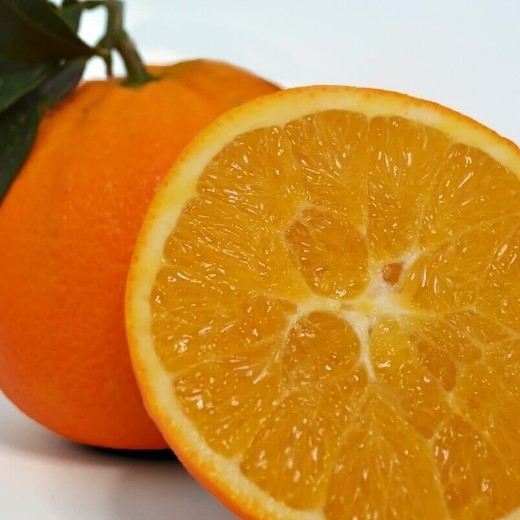 Arancio biondo "Navelina" [Vaso 15cm]