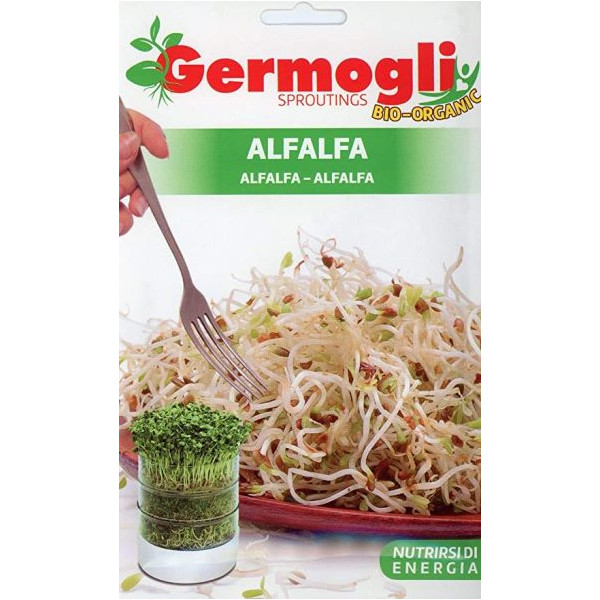 Germogli Alfalfa o Erba Medica (Semente)