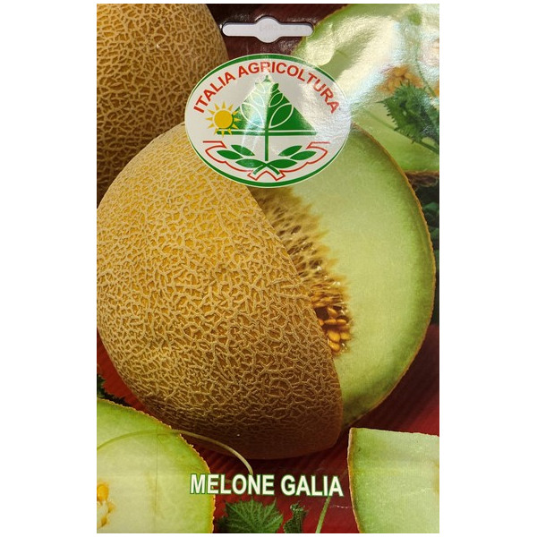 Melone "Galia" (Semente)