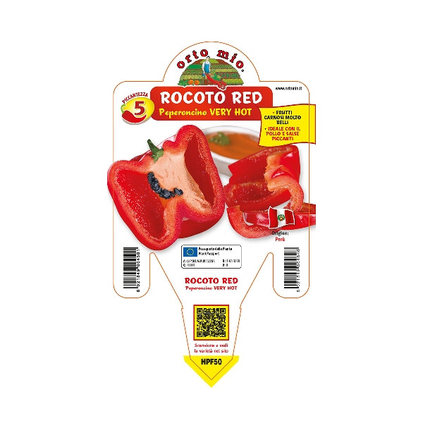 Peperoncino piccante "Rocoto Red" [Vaso 14cm]