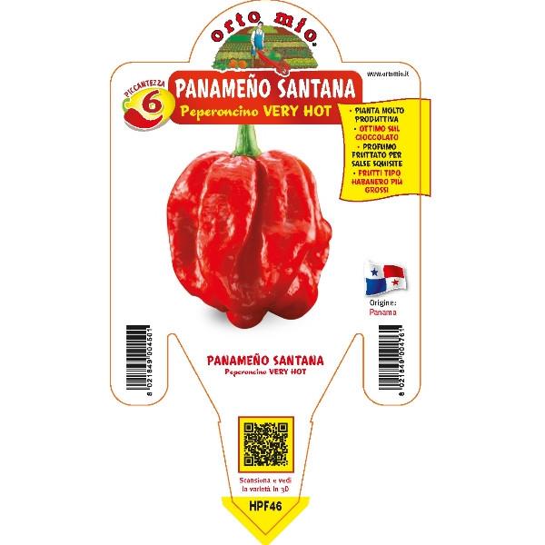 Peperoncino piccante"Panameo Santana" [Vaso 14cm]