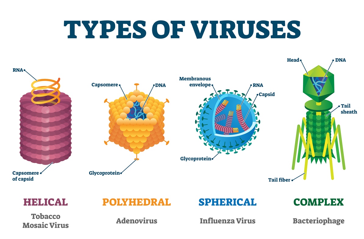 differenti forme di virus