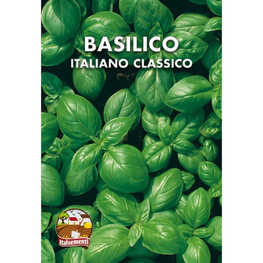 Basilico Italiano Classico (Semente)