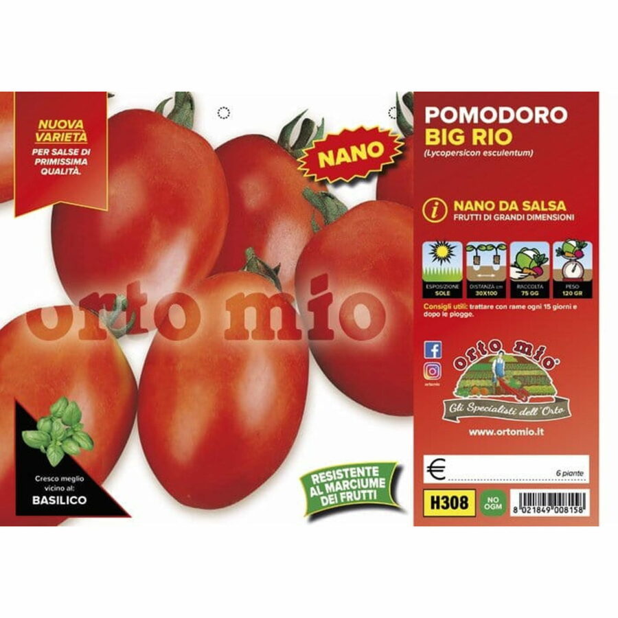 Pomodoro da salsa ovale "Big Rio Top F1"