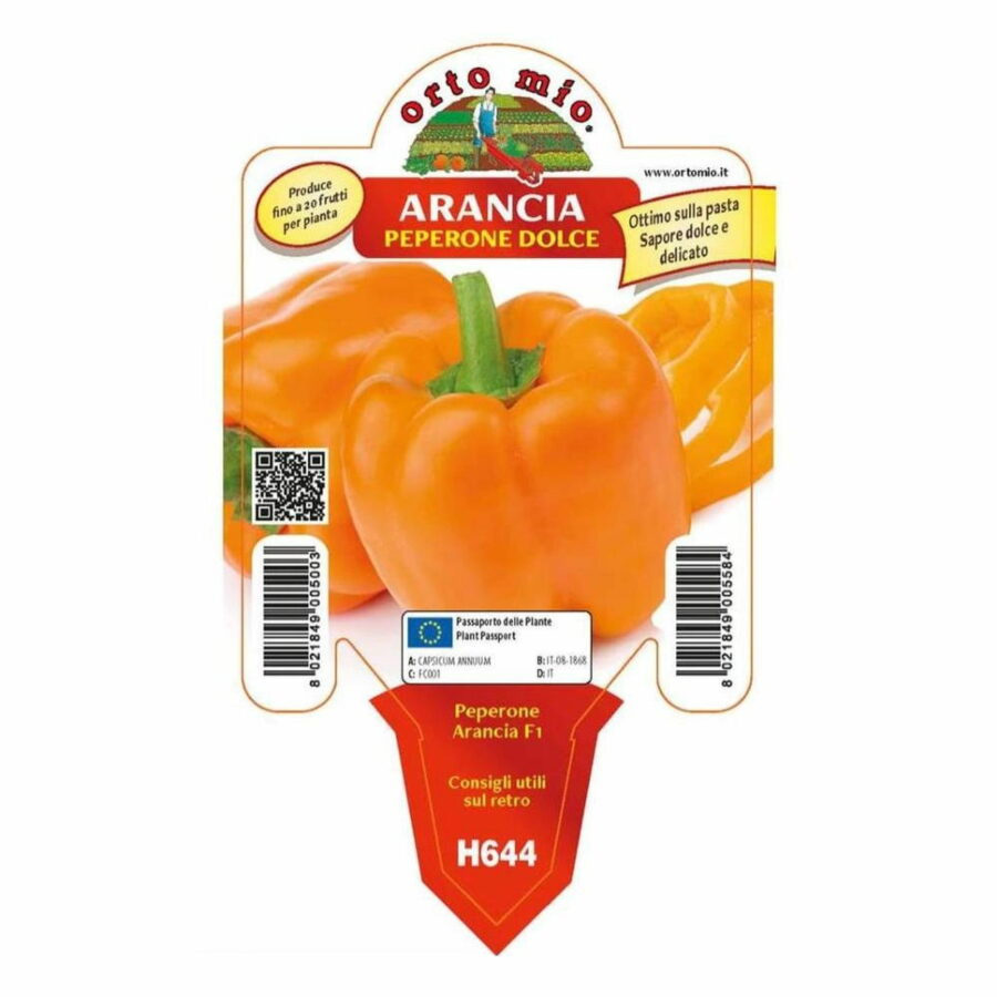 Peperone quadrato arancione "Arancia F1"