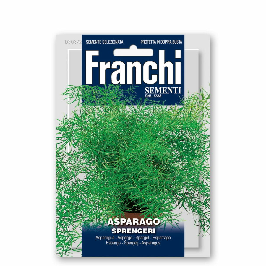 Asparagus densiflorus "Sprengeri" (Semente)