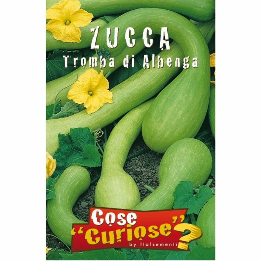 Zucca o zucchetta trombetta d'Albenga (Semente)