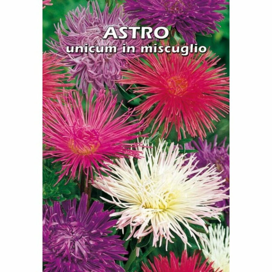 Astro Unicum in miscuglio (Semente)