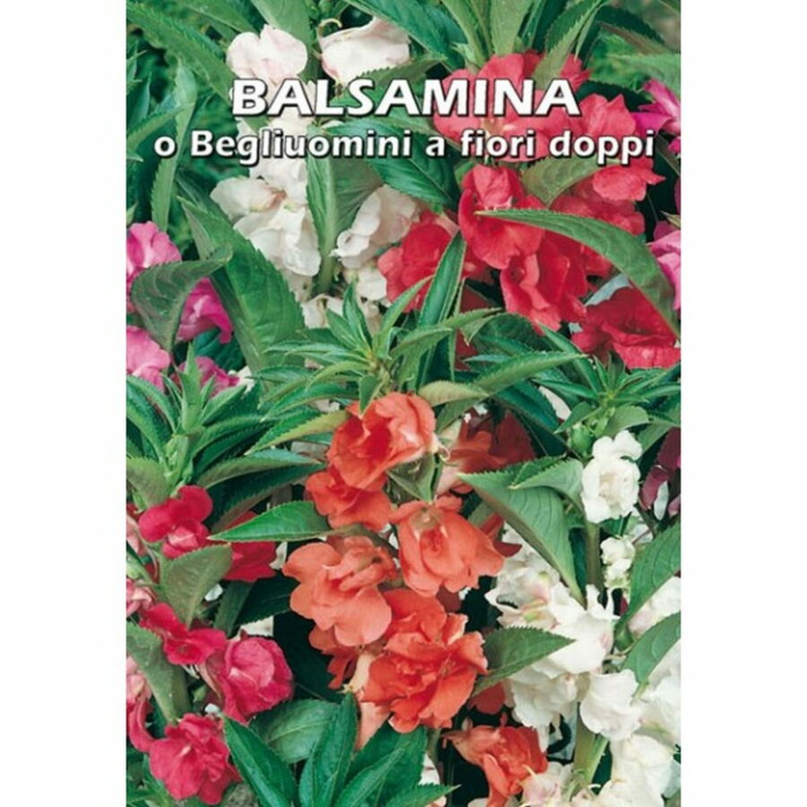 Balsamina a fiori doppi (Semente)