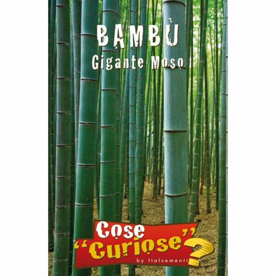 Bamb gigante Moso (Semente)