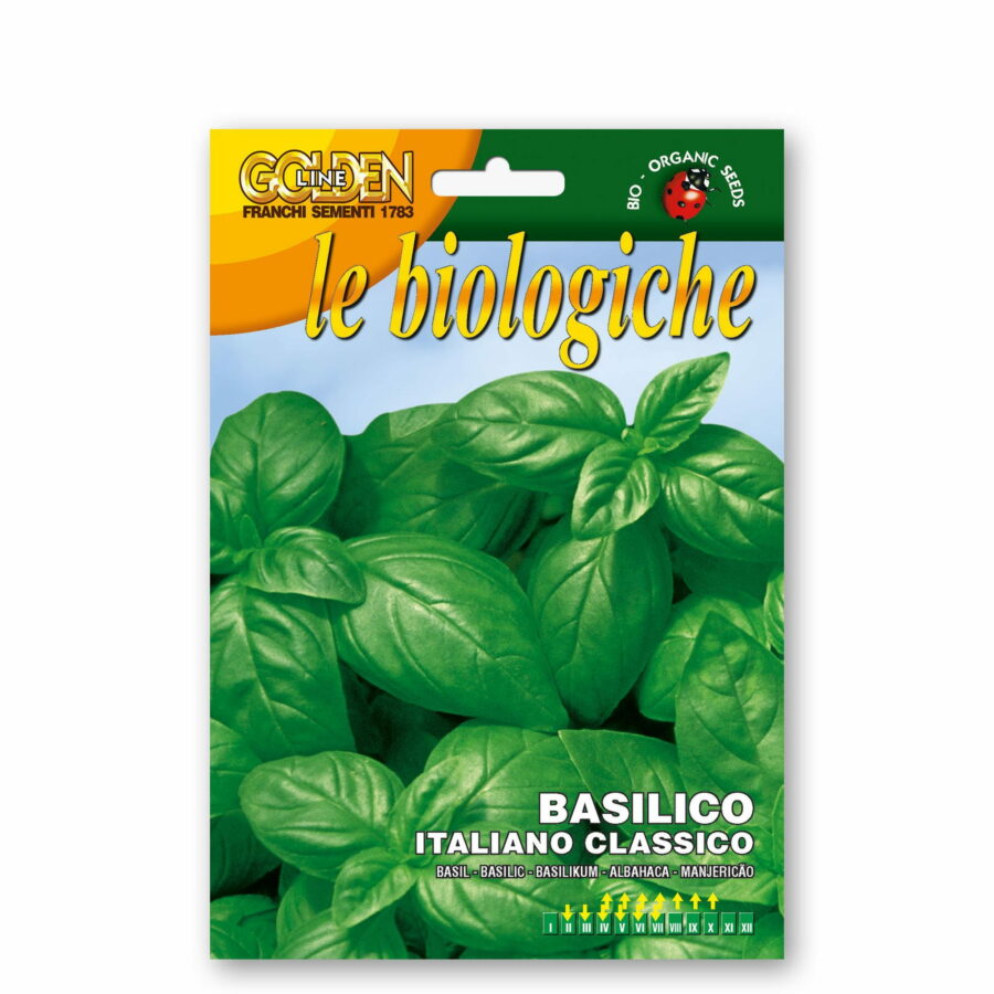 Basilico italiano classico (Semente biologica)