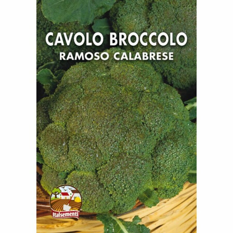 Cavolo broccolo Ramoso calabrese (Semente)