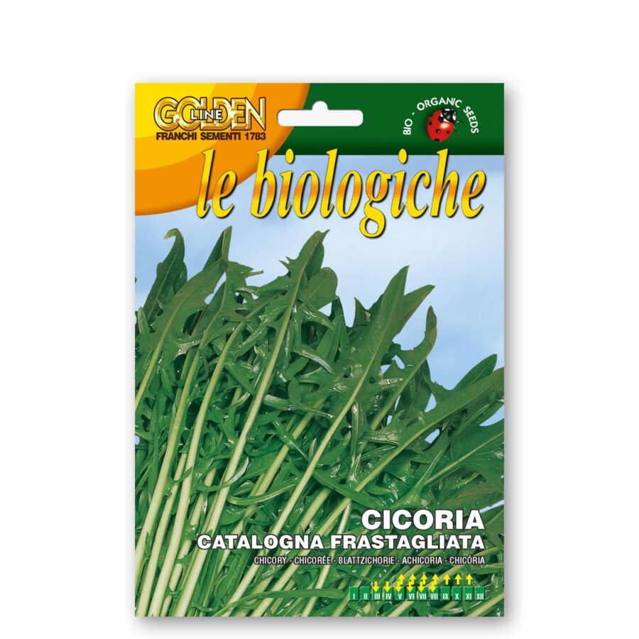 Cicoria catalogna frastagliata (Semente biologica)
