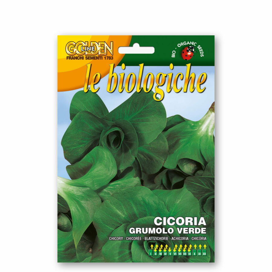Cicoria grumolo verde (Semente biologica)