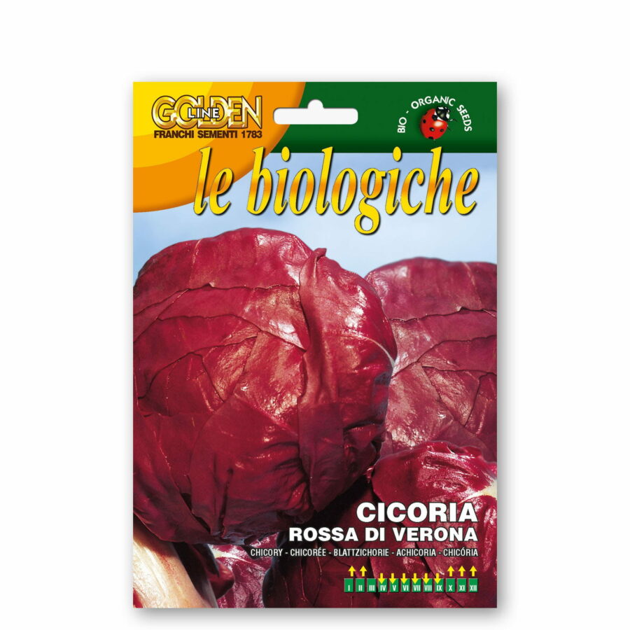 Cicoria rossa di Verona (Semente biologica)