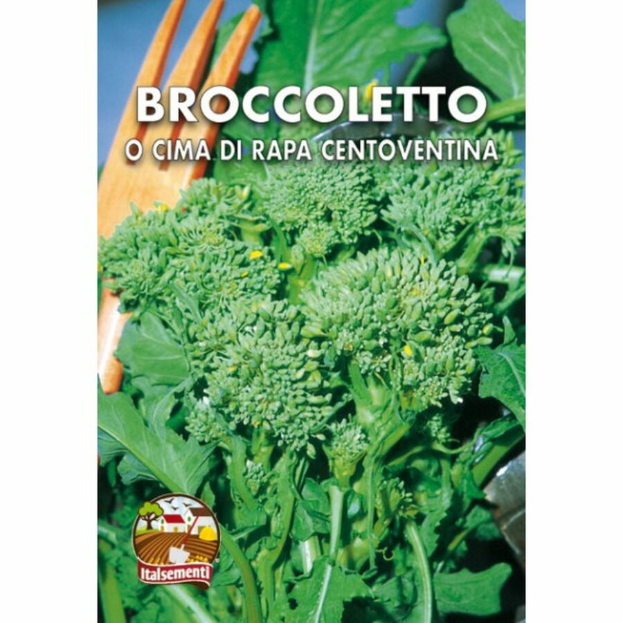 Cima di Rapa o Broccoletto Centoventina (Semente)