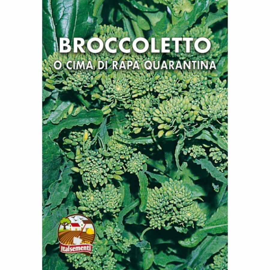Cima di Rapa o Broccoletto Quarantina (Semente)