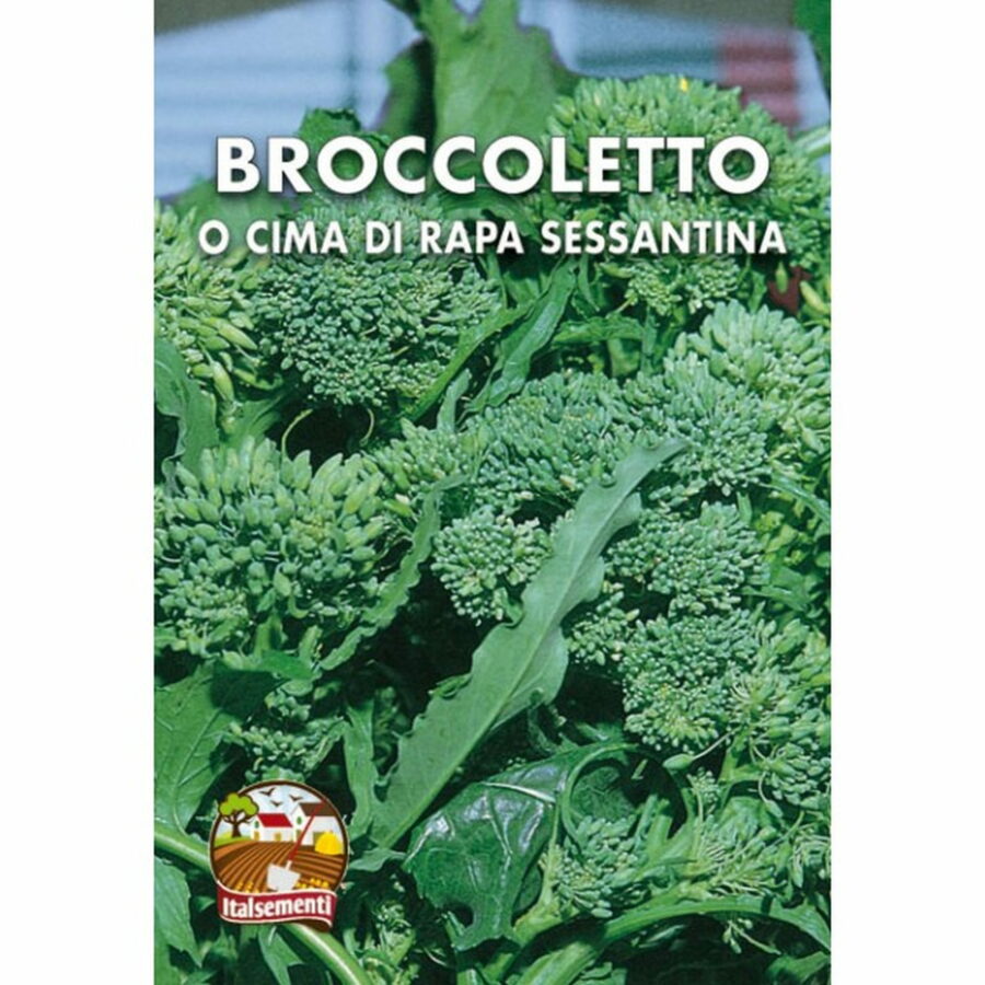 Cima di Rapa o Broccoletto Sessantina (Semente)