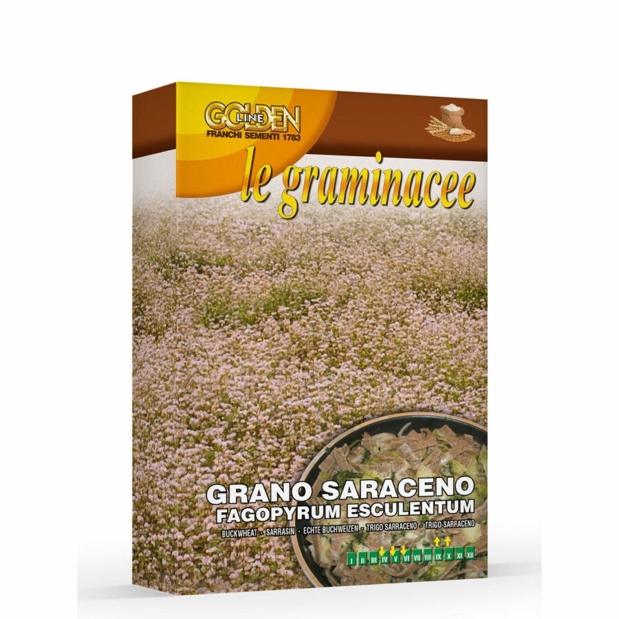 Grano saraceno (Semente in scatola gr 100)