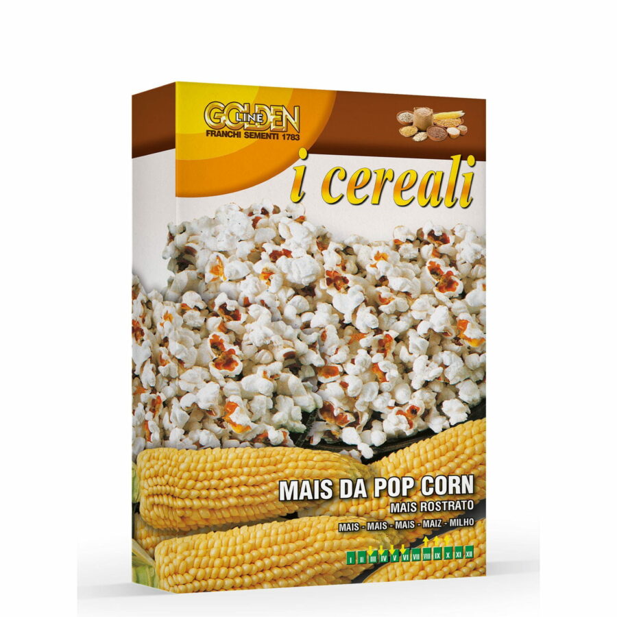 Mais da pop-corn (Semente in scatola gr 100)