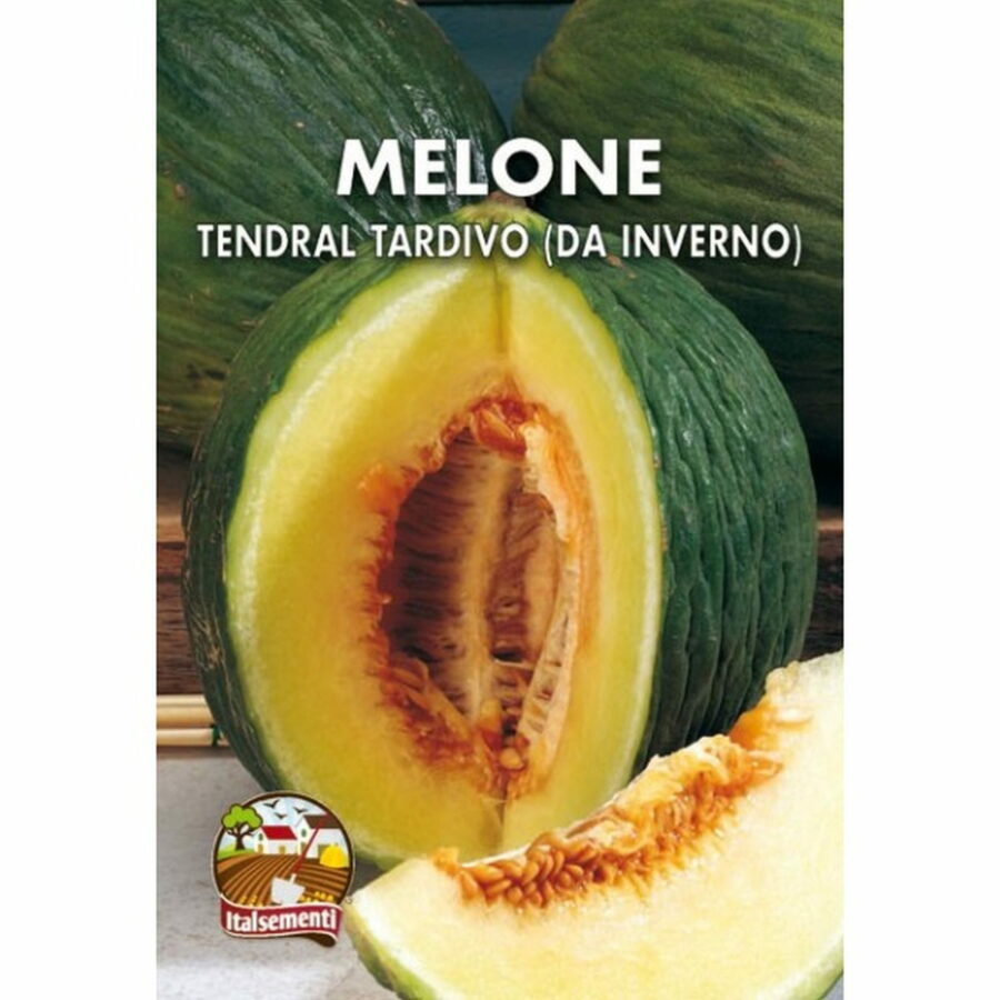 Melone Tendral tardivo (da inverno) (Semente)