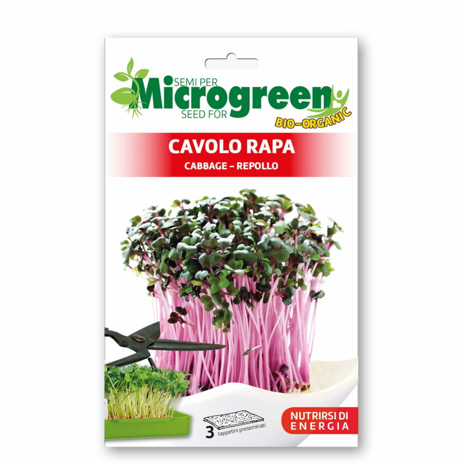 Microgreen di Cavolo Rapa (3 Tappetini preseminati)