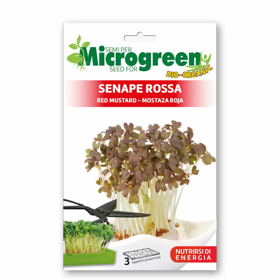 Microgreen di Senape rossa (3 Tappetini preseminati)