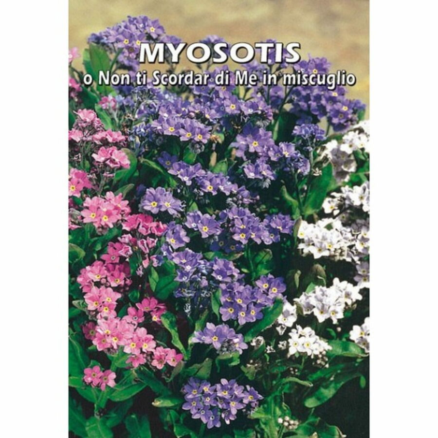 Myosotis in miscuglio (Semente)