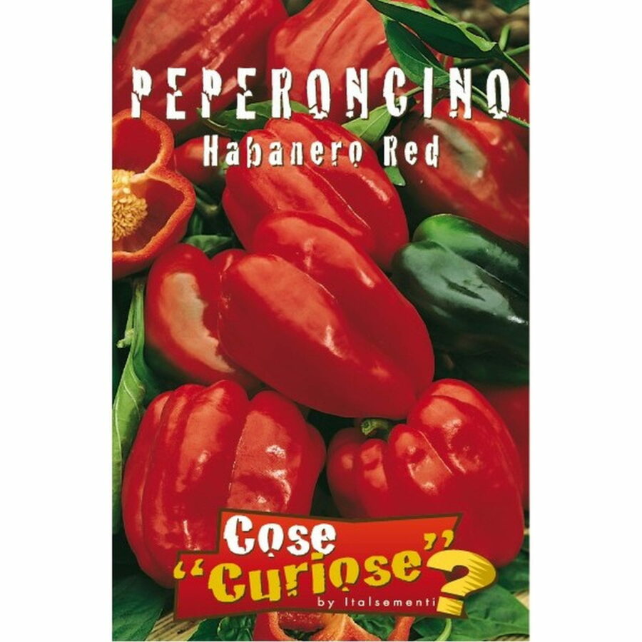 Peperoncino piccante Habanero rosso (Semente)