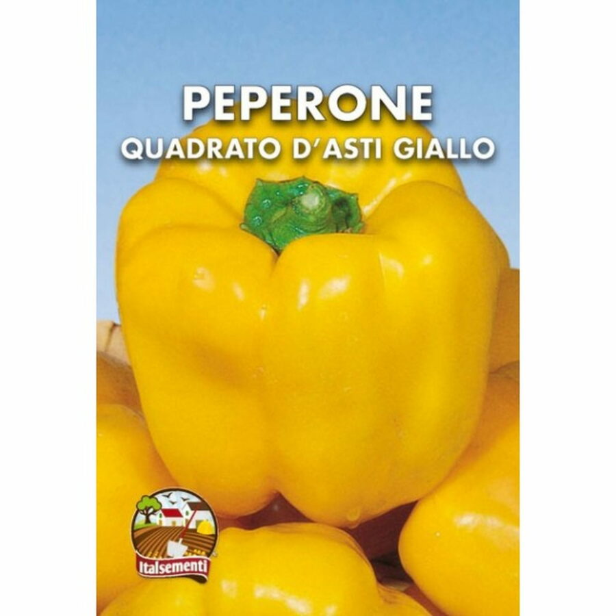 Peperone Quadrato d'Asti giallo (Semente)