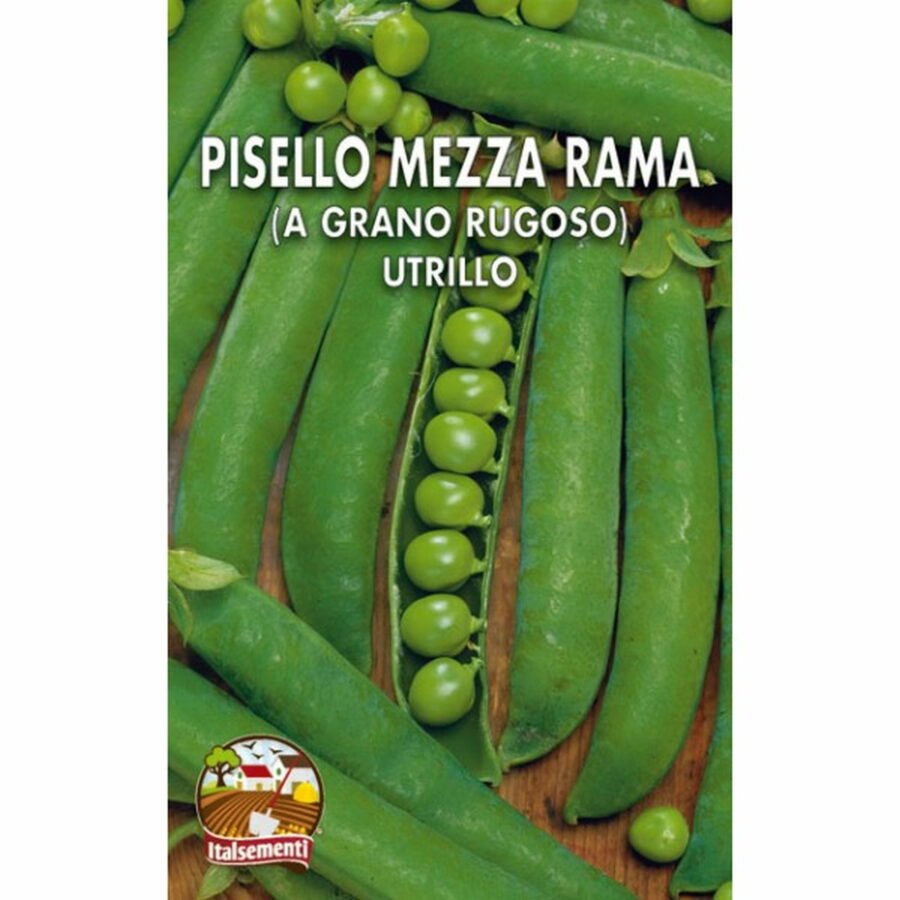 Pisello mezza rama Utrillo (Semente in scatola gr 200)
