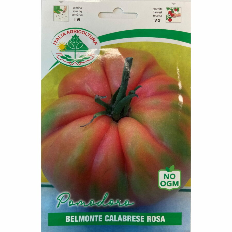 Pomodoro Belmonte calabrese rosa (Semente)