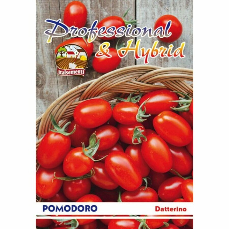 Pomodoro Datterino (Semente)