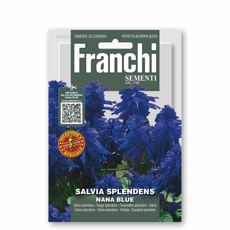 Salviasplendens nana blue (Semente)