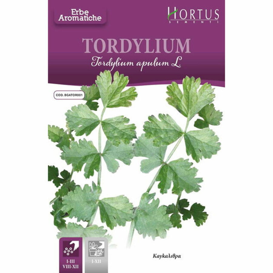 Tordylium (Semente)