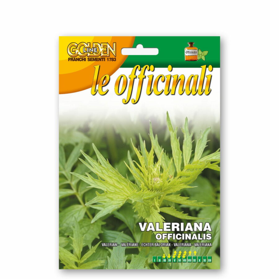 Valeriana officinalis (Semente)