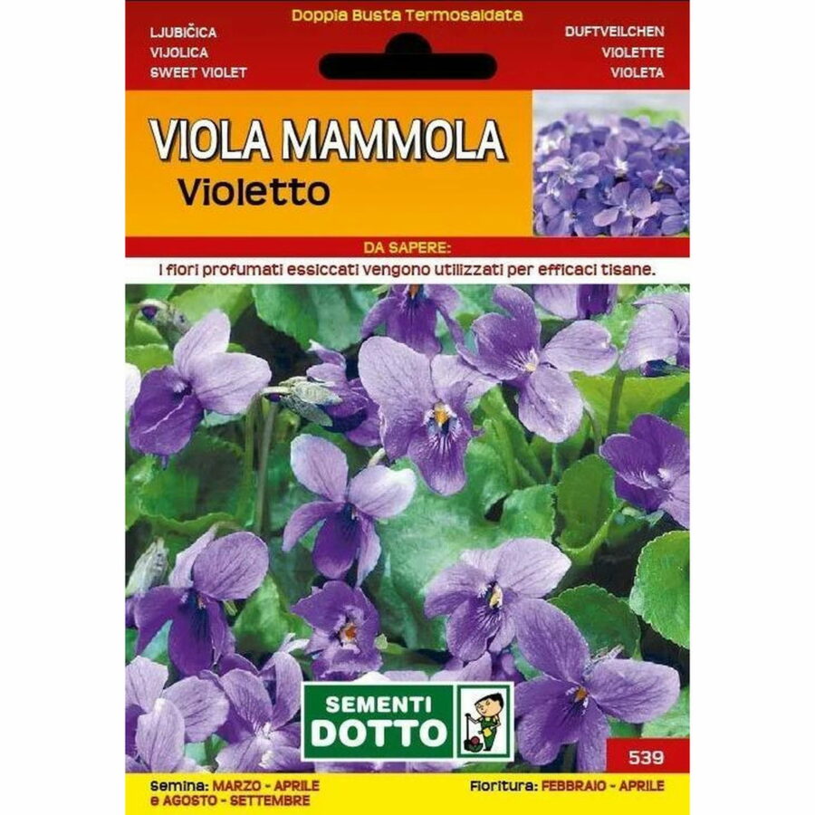 Viola mammola violetto (Semente)