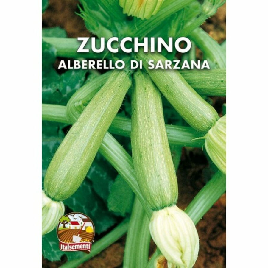 Zucchino alberello di Sarzana (Semente)