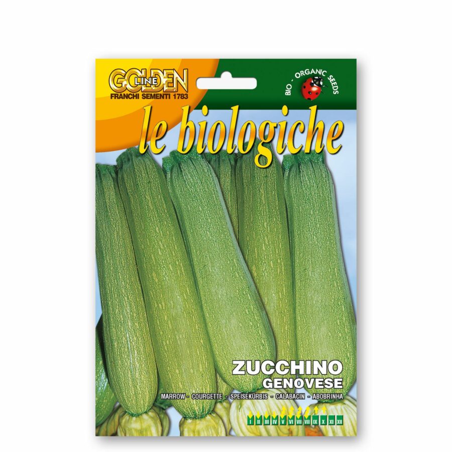 Zucchino genovese (Semente biologica)