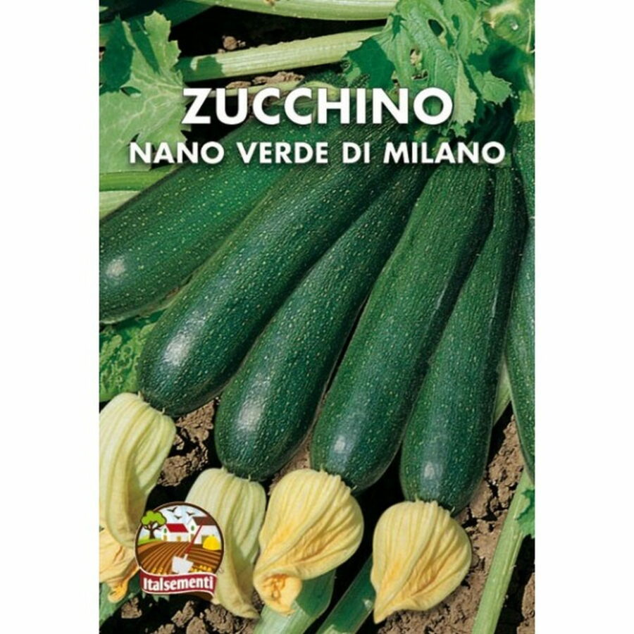 Zucchino nano verde di Milano (Semente)