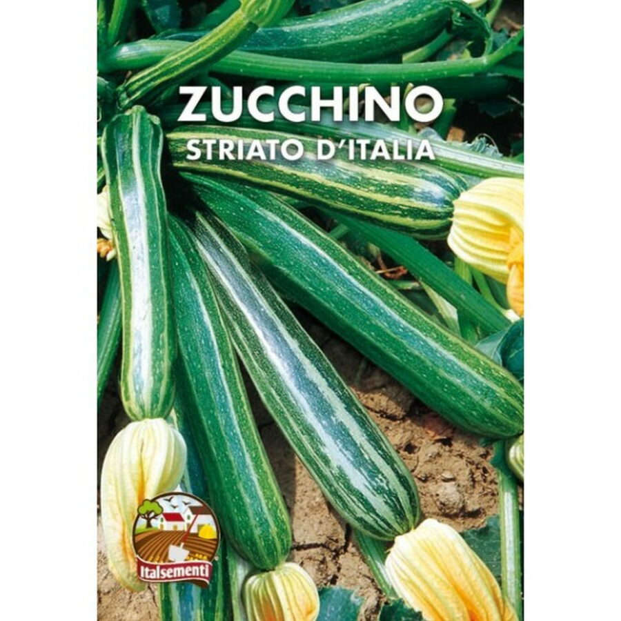 Zucchino striato d'Italia (Semente)