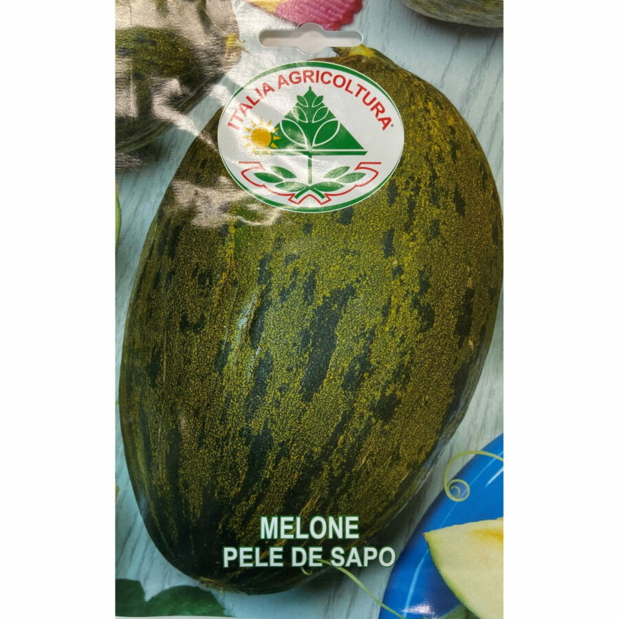 Melone Piel de Sapo (Semente)