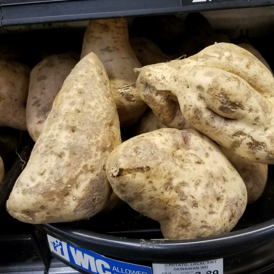 Ipomea batatas