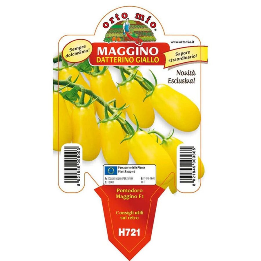 Pomodoro Datterino giallo "Maggino F1" (Skate F1)