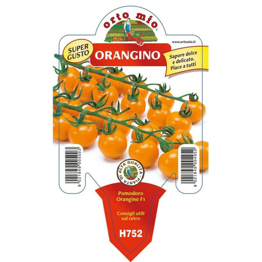 Pomodoro ciliegino arancio "Orangino F1"