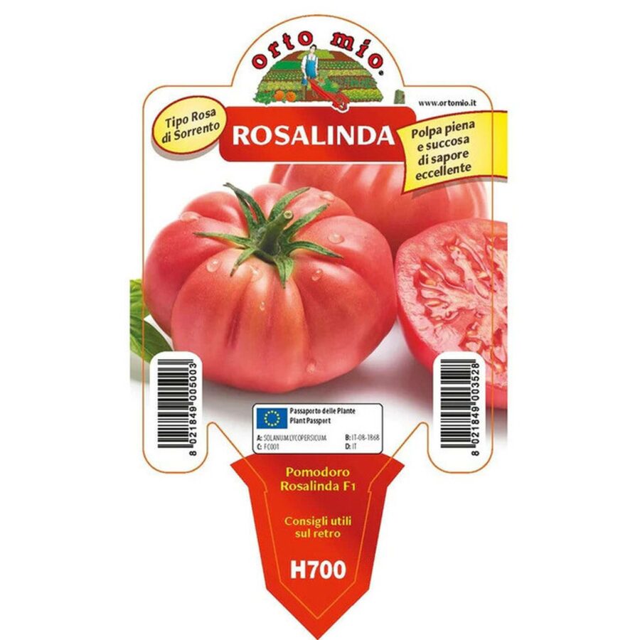 Pomodoro gigante sorrentone "Rosalinda F1"