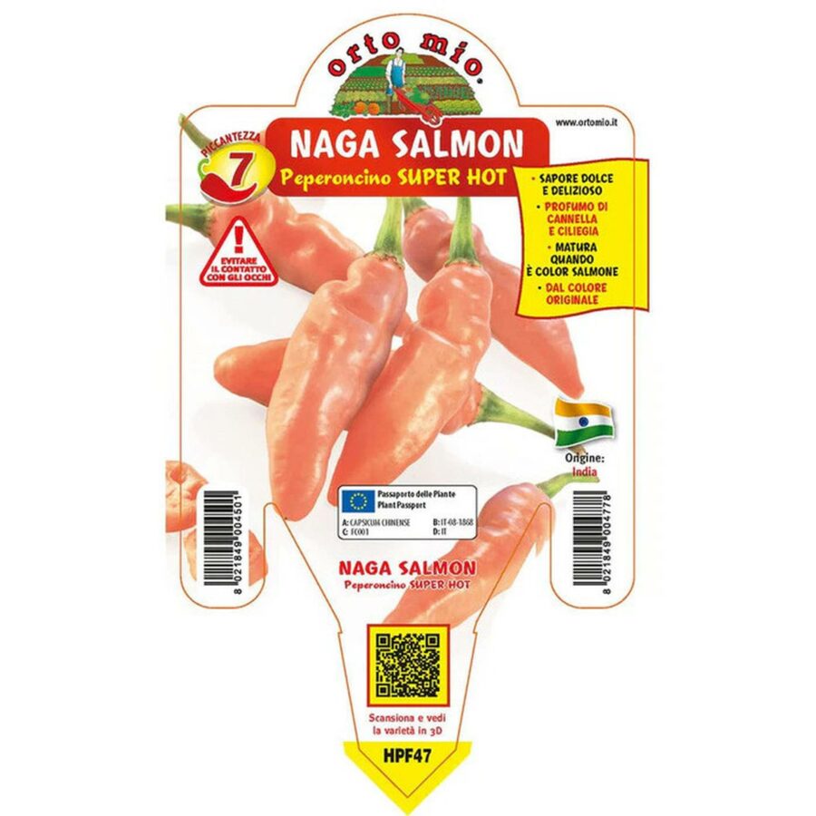 Peperoncino piccante "Naga Morich salmone"