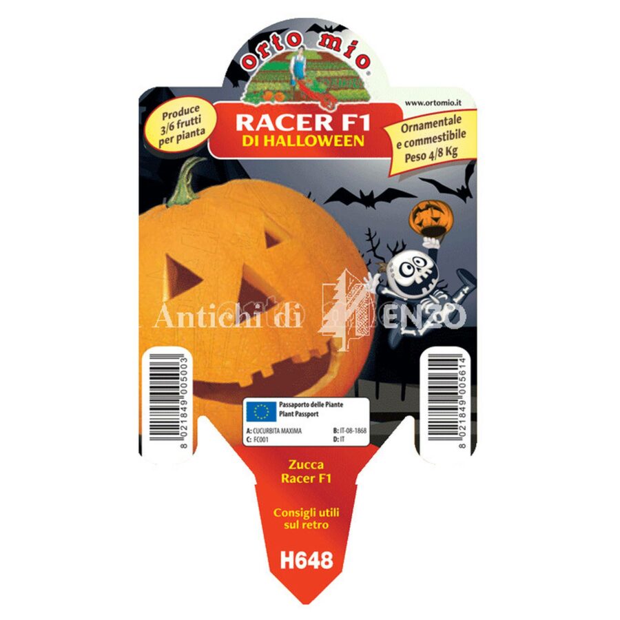 Zucca di Halloween "Racer F1"