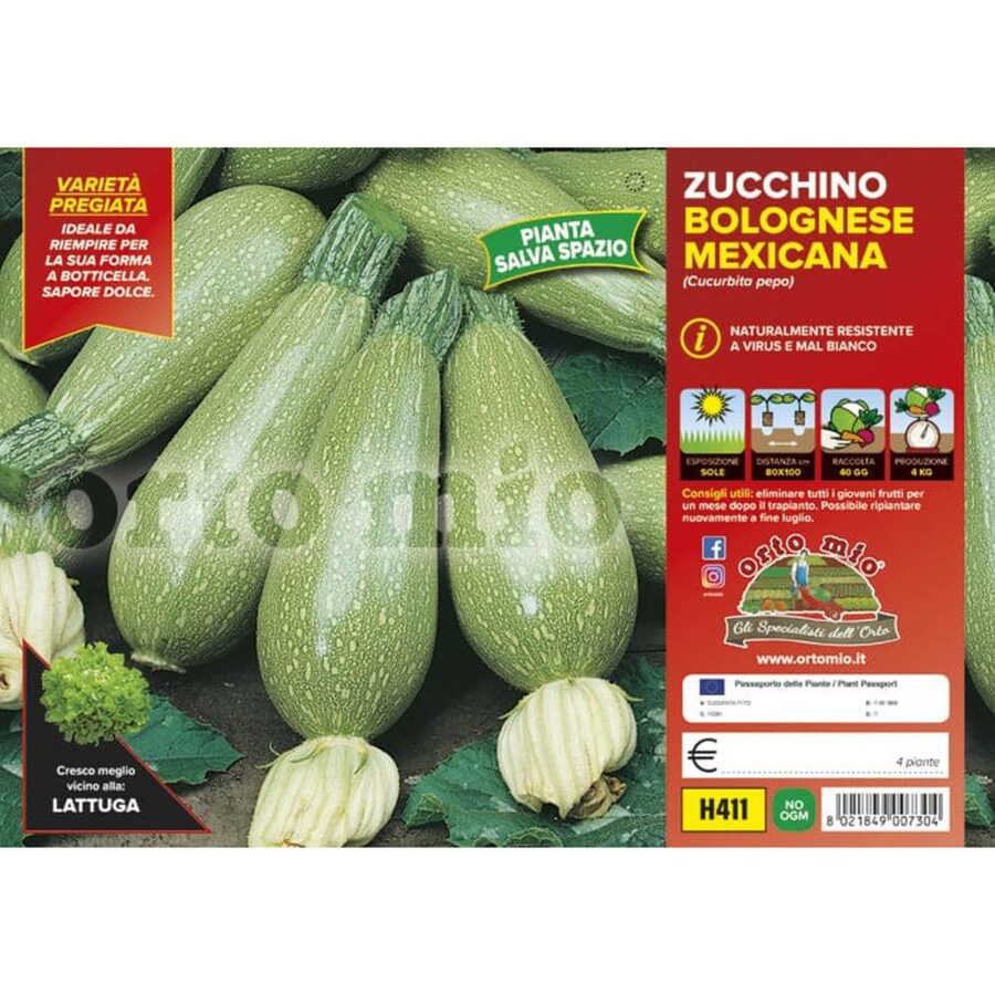 Zucchino bolognese da riempire "Mexicana F1"